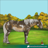 Horse Color:White Spotted Silver Buckskin 