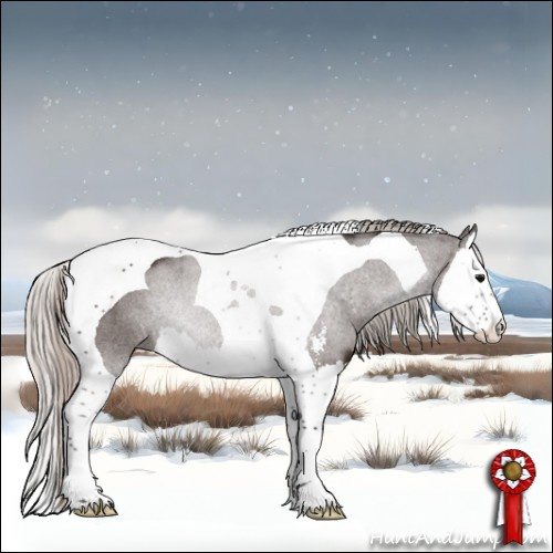 Horse Color:Silver Brown Sabino Splash Tobiano Rabicano 