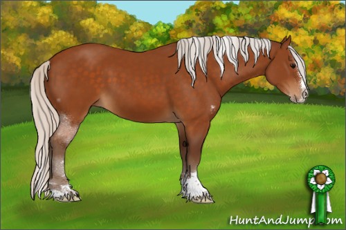 Horse Color:Silver Buckskin Sabino Splash 