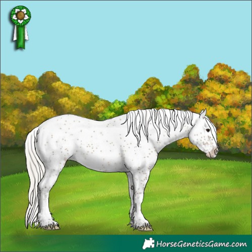 Horse Color:Silver Buckskin Sabino Splash