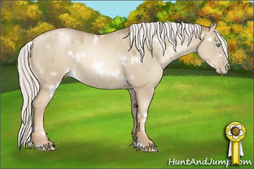 Horse Color:White Spotted Silver Smoky Grullo Pearl Sabino 