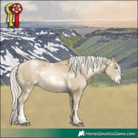Horse Color:White Spotted Silver Smoky Grullo Pearl Sabino 