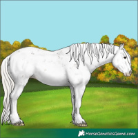 Horse Color:Silver Black Sabino 