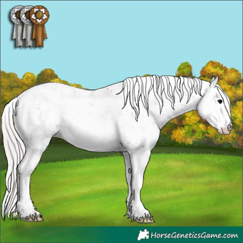 Horse Color:Watercolor Silver Blue Onyx Sabino