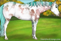 Horse Color:Watercolor Brown Onyx Sabino Rabicano 