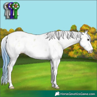 Horse Color:Watercolor Plaid  Blue Onyx Sabino 