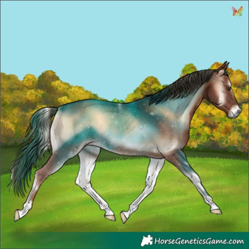 Horse Color:Red Onyx 