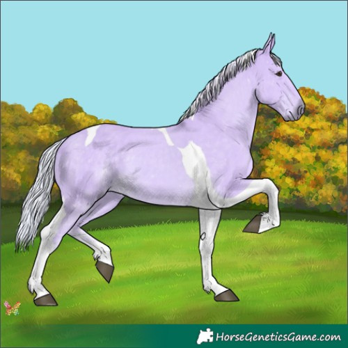 Horse Color:Watercolor Palomino Tobiano 