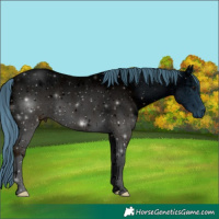 Horse Color:ERROR: UNKNOWN ANOMALY