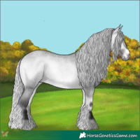 Horse Color:Silver Buckskin Chinchilla Roan Onyx 