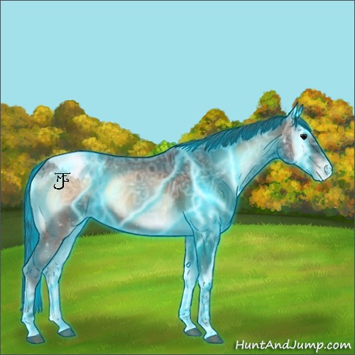 Horse Color:Thunderstruck Bay Ice Onyx Tobiano Appaloosa 