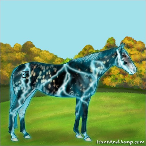 Horse Color:Void Thunderstruck Chocolate Palomino Ice Onyx Tobiano Appaloosa 