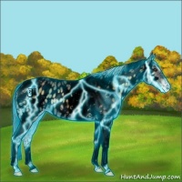 Horse Color:Void Thunderstruck Chocolate Palomino Ice Onyx Tobiano Appaloosa