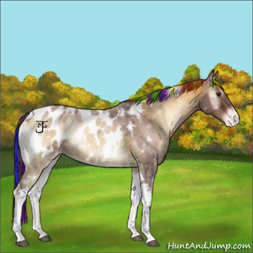 Horse Color:Painted Red Onyx Ice Tobiano Appaloosa 