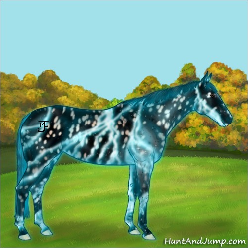 Horse Color:Void Thunderstruck Sable Champagne Ice Onyx Tobiano Appaloosa 