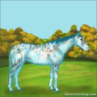 Horse Color:Thunderstruck Brown Ice Onyx Tobiano Appaloosa 