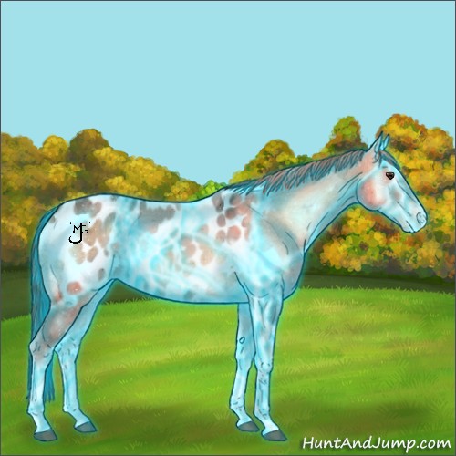 Horse Color:Thunderstruck Red Onyx Ice Tobiano Blanket 