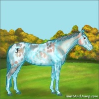 Horse Color:Thunderstruck Red Onyx Ice Tobiano Appaloosa 