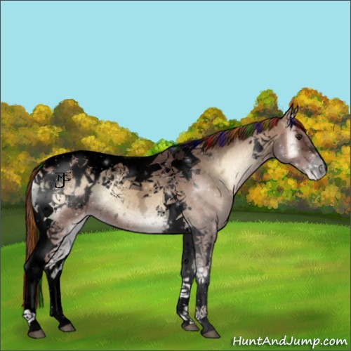 Horse Color:Void Painted Red Onyx Ice Tobiano Appaloosa 