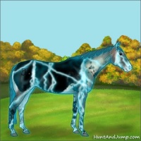 Horse Color:Void Thunderstruck Brown Ice Onyx Tobiano Near Fewspot