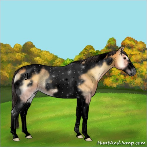 Horse Color:Void Buckskin Onyx Tobiano Frame Rabicano 