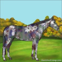 Horse Color:Nacre White Spotted Brown Ice