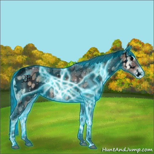 Horse Color:Void Thunderstruck Brown Ice Roan Onyx Tobiano Appaloosa