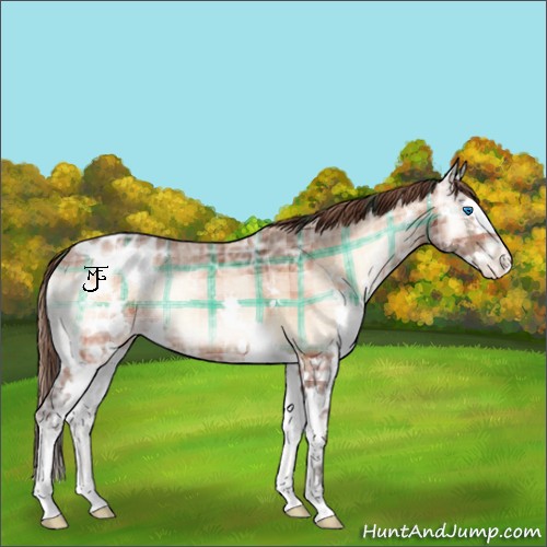 Horse Color:Plaid Bay Ice Onyx Splash Blanket