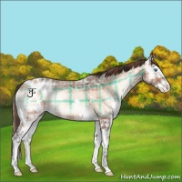 Horse Color:Plaid  Bay Ice Onyx Splash Blanket 