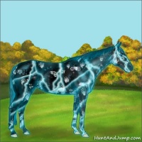 Horse Color:Void Thunderstruck White Spotted Bay Ice Onyx Splash Tobiano Blanket