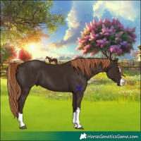 Horse Color:Liver Chestnut 