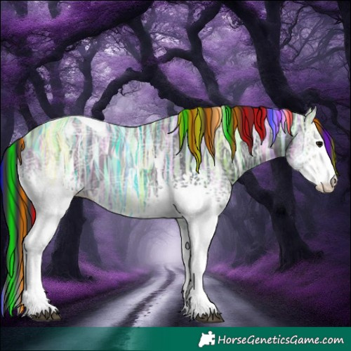 Horse Color:Painted White Spotted Black Ice Tobiano 