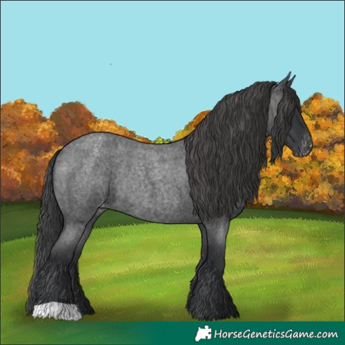 Horse Color:Blue Roan Varnish Rabicano 