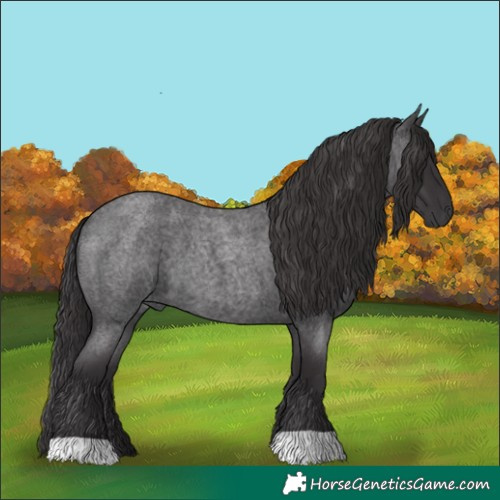 Horse Color:Smoky Blue Roan