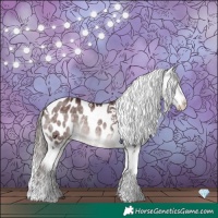 Horse Color:Platinum Chocolate Brown Dun Tobiano Appaloosa 