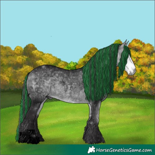 Horse Color:Void Painted Buckskin Chinchilla Roan 