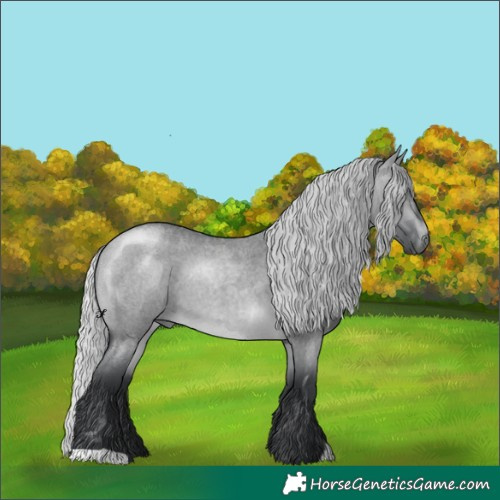 Horse Color:Silver Brown Chinchilla Roan Dun 