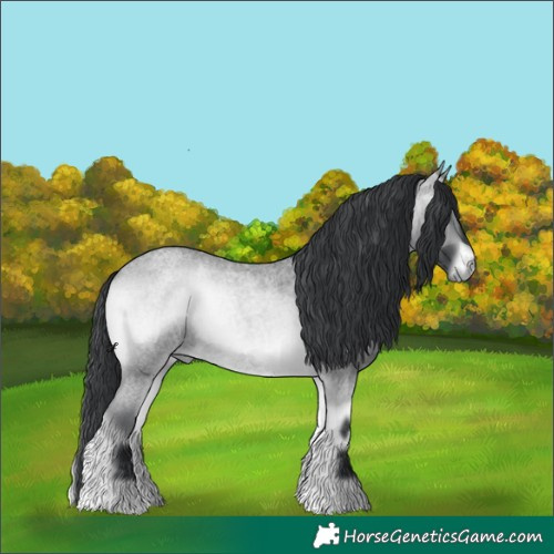 Horse Color:Brown Chinchilla Roan Onyx 