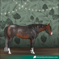 Horse Color:Bay Rabicano 