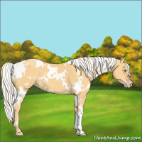 Horse Color:White Spotted Silver Amber Cream Champagne 
