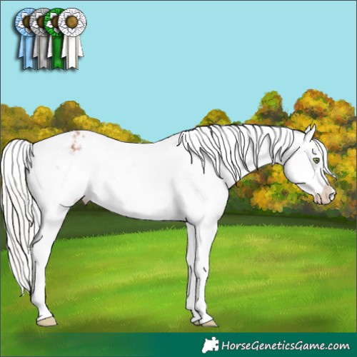 Horse Color:Silver Sable Champagne Snowflake Varnish