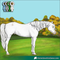 Horse Color:Silver Sable Champagne Snowflake Varnish 