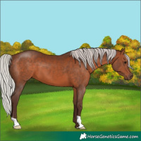Horse Color:Silver Brown 