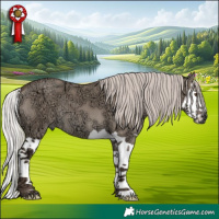 Horse Color:Silver Grullo Ice Splash