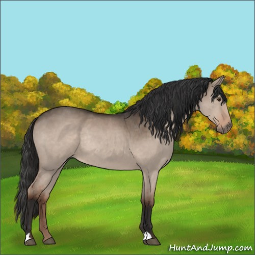 Horse Color:Liver Red Dun Roan Rabicano