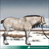 Horse Color:Bay Ice Dun Sabino