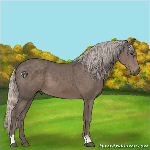 Horse Color:Silver Black 