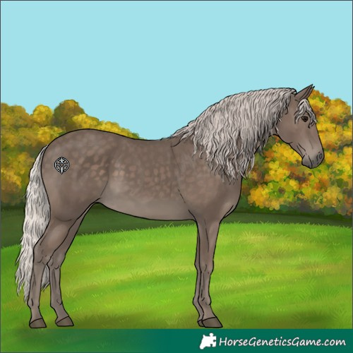Horse Color:Silver Black 