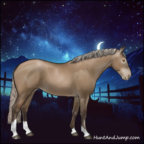 Horse Color:Gray Silver Grullo Pearl Tobiano