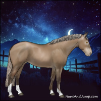 Horse Color:Gray Silver Grullo Pearl Tobiano 
